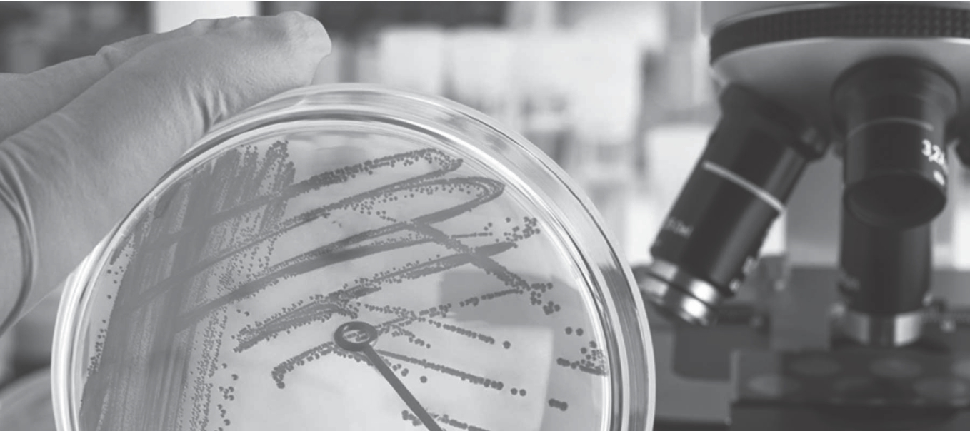 Microbiology Lab